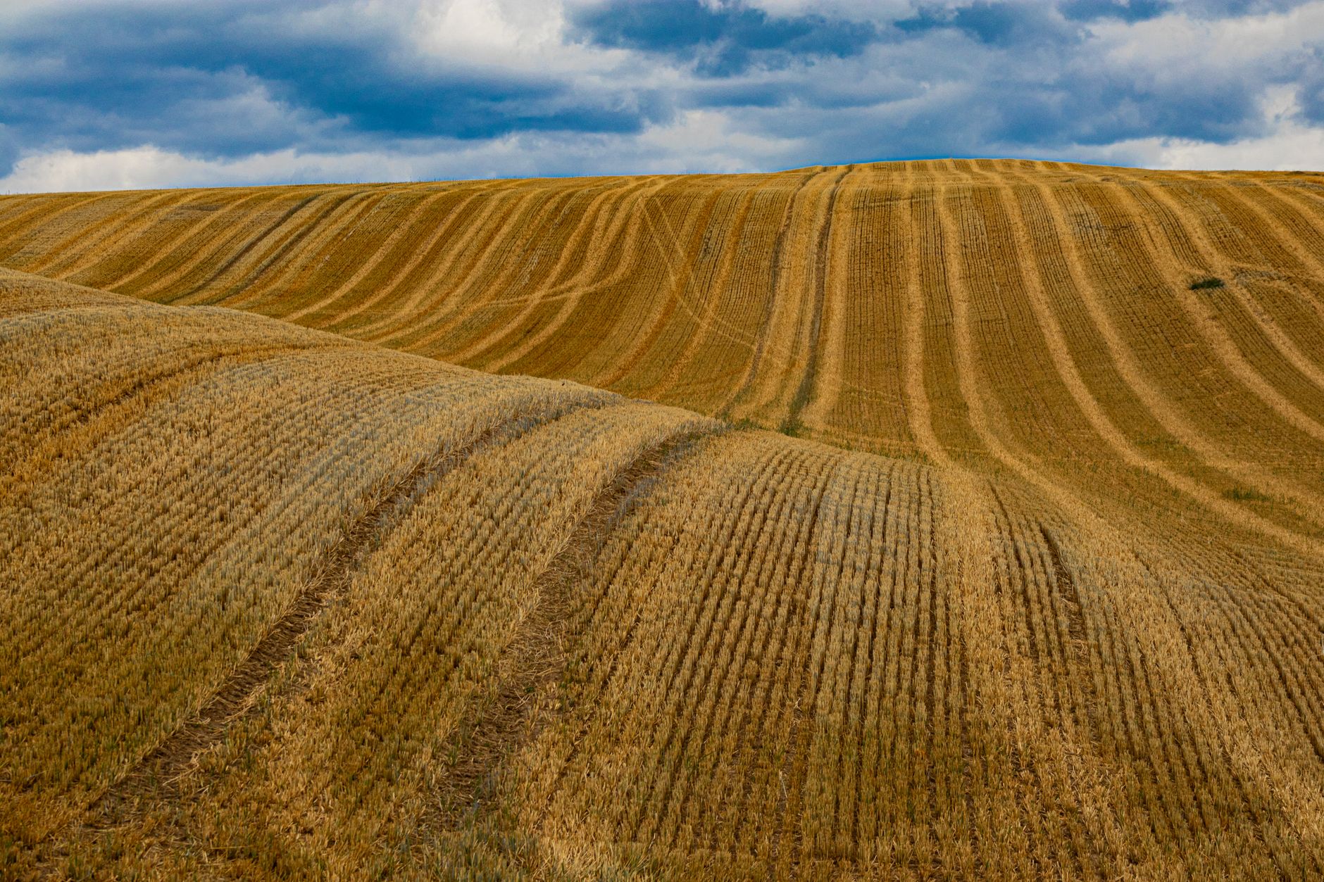 Rolling harvested cropland