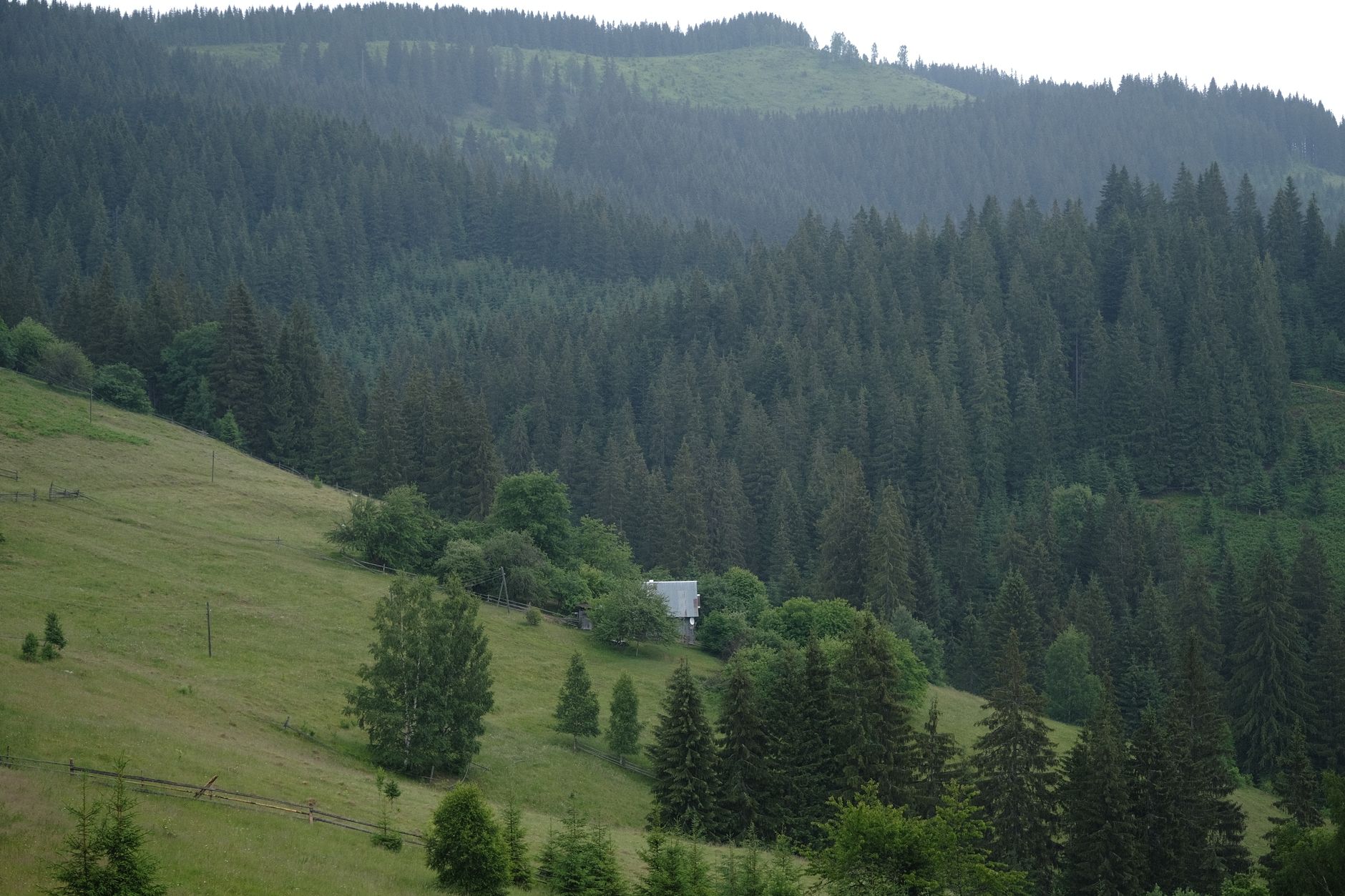 A rural property among timber and open meadow